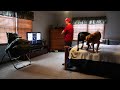 Launch Mini Player