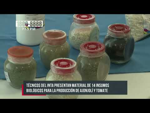 INTA presenta material de 14 insumos para producción de hortalizas- Nicaragua