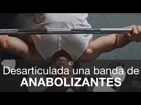 Desarticulada una banda dedicada a importar, fabricar y distribuir anabolizantes