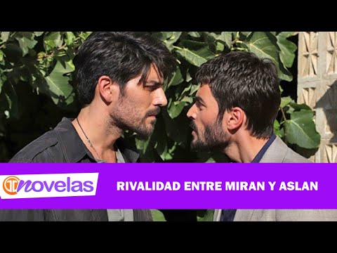NOVELAS TM | MIRAN VS ASLAN ¿CUÁL ES TU FAVORITO