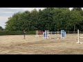 Springpaard 6-jarig atletisch sportpaard