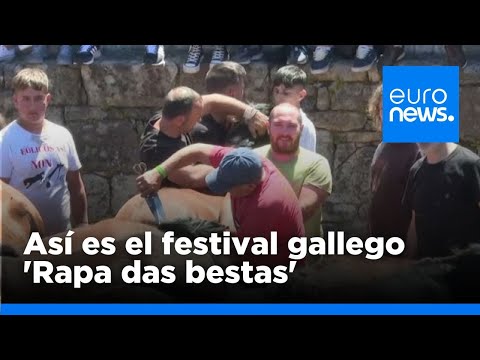 Así es el festival 'Rapa das bestas' en el que los gallegos cortan las crines de caballos salvajes