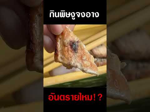 DJ Poom  ทดลองกินพิษงูจงอางอันตรายไหม!!djpoomดีเจภูมิคนหัวครัว