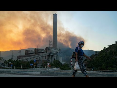 Incendies en Turquie : le feu aux portes d'une centrale thermique à Milas • FRANCE 24