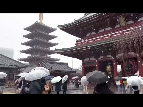 Snow falls in Tokyo's traditional Asakusa district