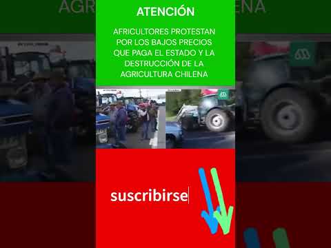 AGRICULTORES PROTESTAN POR BAJOS PRECIOS QUE PAGA EL ESTADO