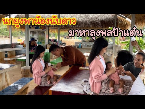 นกยูงพาน้องนับดาวมาหาลุงพลป้า