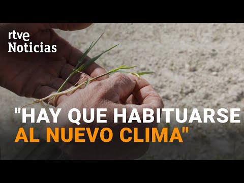 CAMBIO CLIMÁTICO: Las EMISIONES siguen AUMENTANDO mientras se baten RÉCORDS de CALOR | RTVE Noticias