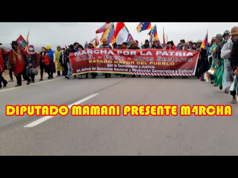 PRESIDENTE CÀMARA DE DIPUTADOS MAMANI PRESENTE EN LA M4RCHA POR LA PATRIA...