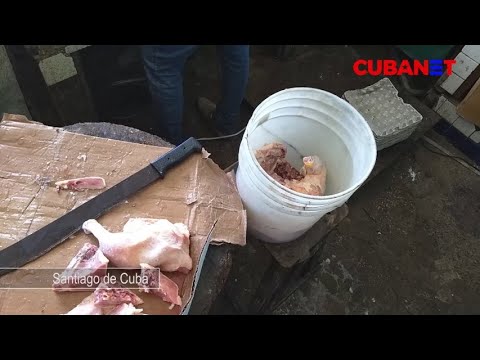 Sin refrigeración desde hace un AÑO: así opera esta carnicería en CUBA