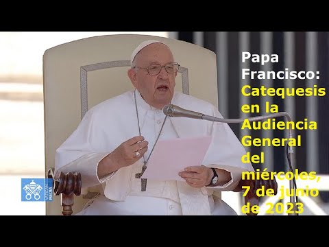 Papa Francisco - Catequesis en la Audiencia General del miércoles, 7 de junio de 2023