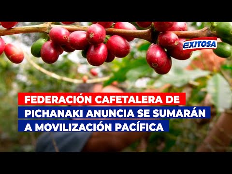 Federación Cafetalera de Pichanaki anuncia se sumarán a movilización pacífica