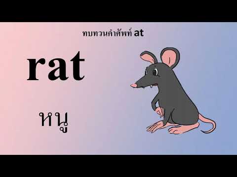 ภาษาอังกฤษคำศัพท์atอ.3byค