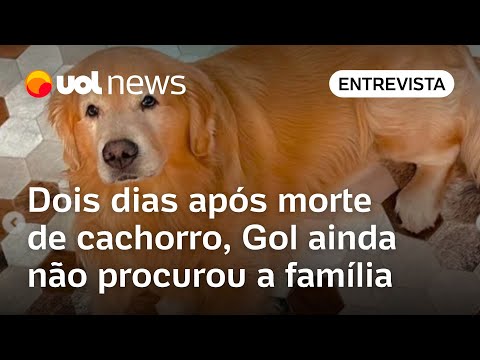 Cachorro morre em voo: Gol não procurou nem ofereceu nenhum tipo de auxílio à família, diz advogado
