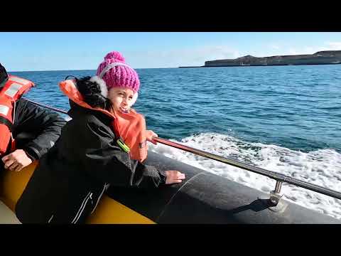 Ballenas en Pirámides y El Doradillo