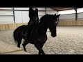 Dressage horse Chique merrie met sterk achterbeen
