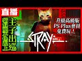 【PC直播】《浪貓 Stray》法國貓奴獨立團隊打造 STEAM極度好評中！