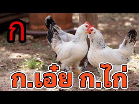 ก.เอ่ยก.ไก่แบบดั้งเดิม|ฟังย