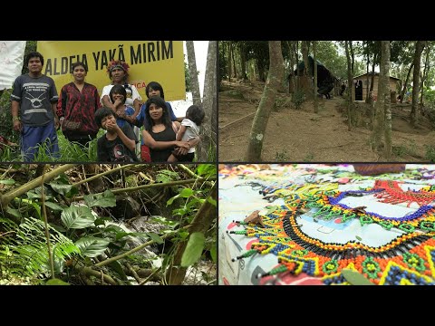 En busca de agua, indígenas brasileños encuentran nuevo hogar | AFP