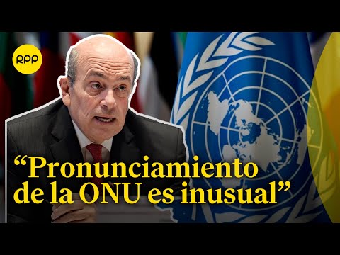 Sobre pronunciamiento de la ONU: La Cancillería expresó su extrañeza, afirmó Hugo De Zela