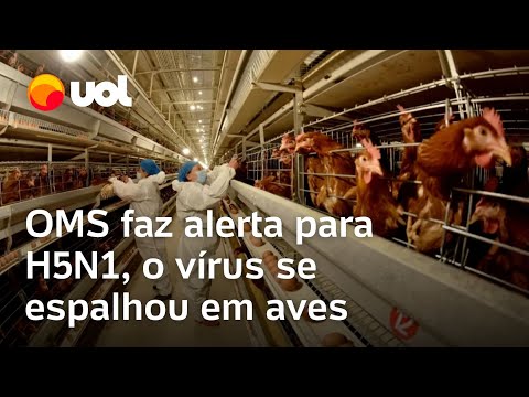 H5N1: OMS faz alerta sobre propagação de gripe aviária para mamíferos e outras espécies
