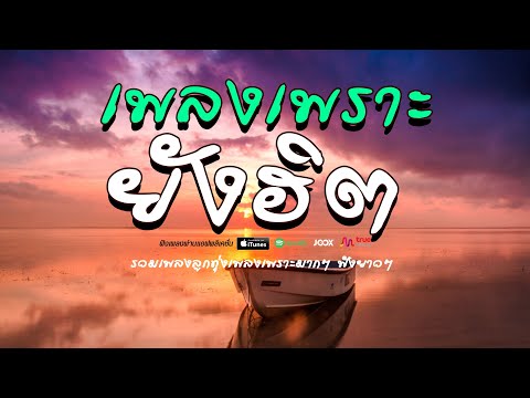 ลูกทุ่งเสียงดี-รวมเพลงเพร