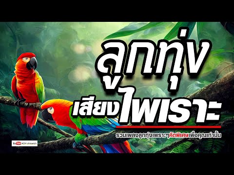 Achi chirawich channel ลูกทุ่งเสียงไพเราะ+ฟังเพลินรวมเพลงฟังต่อเนื่อง