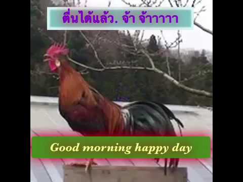 Selamat pagi....