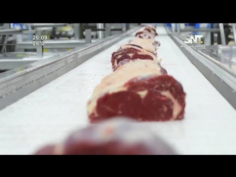 Bloque económico:  Lobby para exportar carne al norte de EE.UU