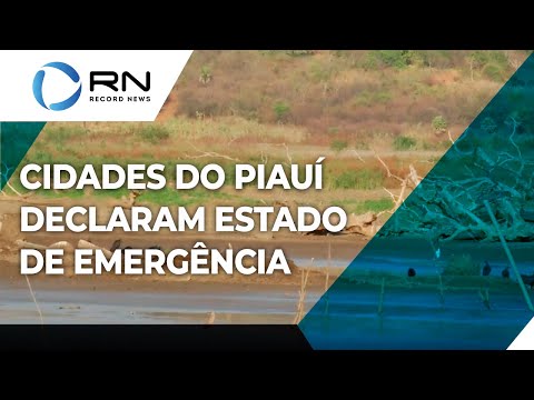 11 cidades do Piauí estão em estado de emergência por estiagem e seca
