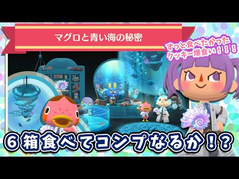 【ポケ森コンプ】マグロのクッキー６箱食べまくってコンプ目指す！！！【どうぶつの森ポケットキャンプ】
