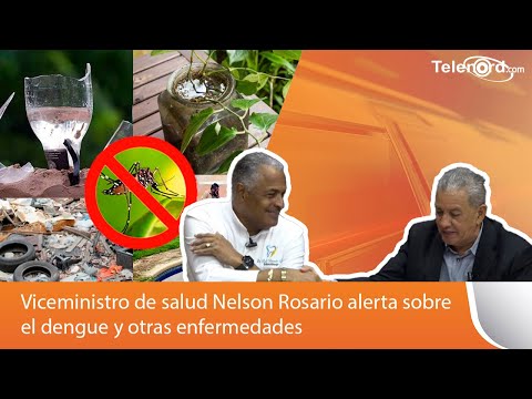 Viceministro de salud Nelson Rosario alerta sobre el dengue y otras enfermedades