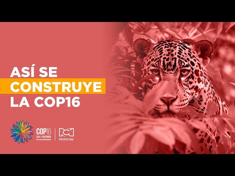 A menos de un mes de la COP16, así avanza el montaje de los escenarios en Cali