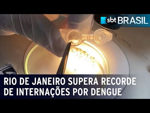 Brasil já registrou mais de 240 mil casos de dengue | SBT Brasil (05/02/24)