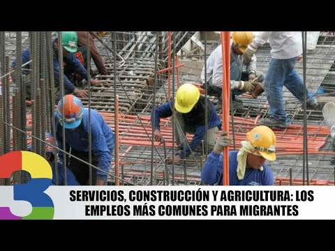 Servicios, construcción y agricultura: los empleos más comunes para migrantes