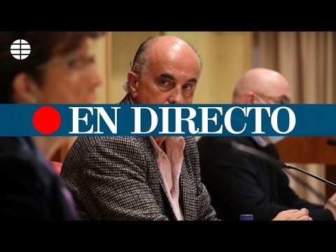 DIRECTO CORONAVIRUS | Rueda de prensa de seguimiento de la pandemia en Madrid