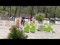 Show jumping horse Springpaard 10 jaar oud