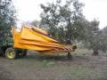 Яблоня: Harvest of organic olives with mechanical vibration in Douro