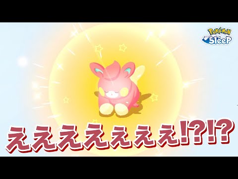 【ポケモンスリープ】色違いパモさん!?!?ゲットだずぇ!!!!