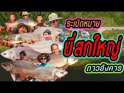 ระเบิดหมาย-ยี่สกใหญ่-ดาวอังคาร ระเบิดหมาย-ยี่สกใหญ่-ดาวอังคาร