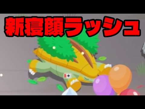 2日でほとんど埋まってね？【ポケモンスリープ】