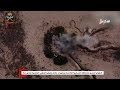 المليشيا تتهاوى أمام التفوق العسكري للقوات المسلحة الشرعية