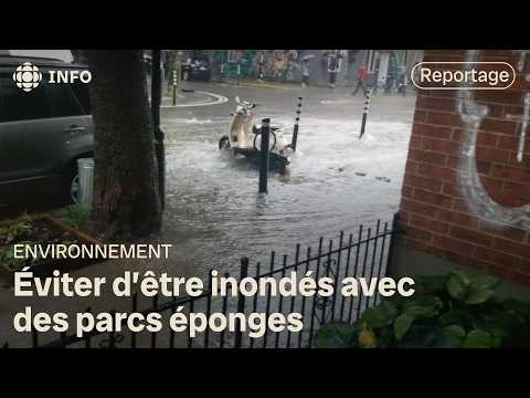 Des parcs éponges pour éviter des inondations