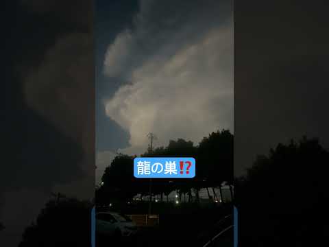 【ジブリ・ラピュタ】東海に龍の巣来たる！🫨