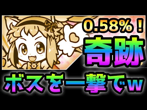 こねこが奇跡の連発でボス瞬殺からの速攻w  にゃんこ大戦争