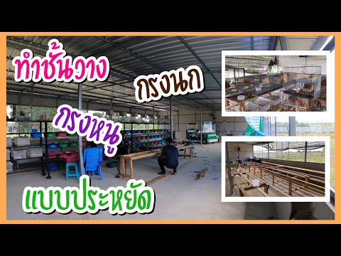 Zing’s-Day-I-ทำชั้นวางกรงนก-กร Zing’s-Day-I-ทำชั้นวางกรงนก-กร