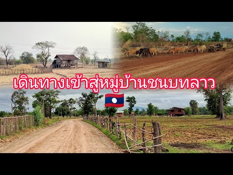 กลับสู่หมู่บ้านชนบท🇱🇦