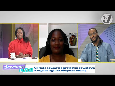 Climate Advocates Protest in Downtown Kingston Against Deep-sea Mining | TVJ Daytime Live