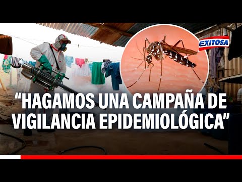 Gotuzzo sobre dengue: Es importante que hagamos una campaña de vigilancia epidemiológica