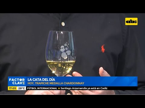Cata de vinos en ABC, probamos Trapiche medalla Chardonnay